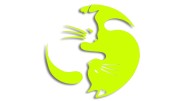 naklejka-Koty-yin-yang-rownowaga-kot-zolta-neon.jpg