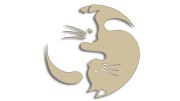 naklejka-Koty-yin-yang-rownowaga-kot-bezowa.jpg