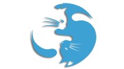 naklejka-Koty-yin-yang-rownowaga-kot-blekitna.jpg