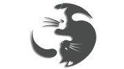 naklejka-Koty-yin-yang-rownowaga-kot-grafitowa.jpg