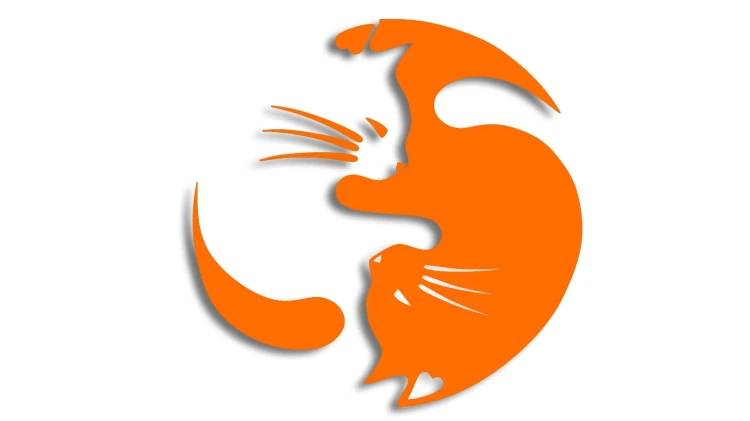 naklejka-Koty-yin-yang-rownowaga-kot-pomaranczowa.jpg