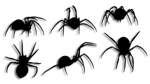 Pająki 6 sztuk pająk
