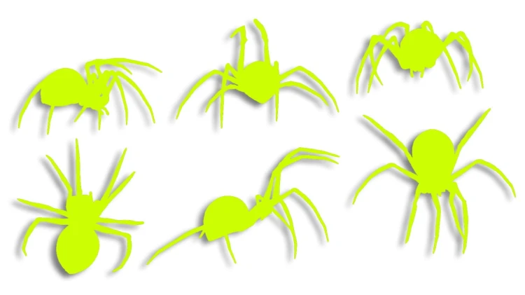 naklejka-pajak-pajaki-zolta-neon.jpg