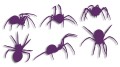 naklejka-pajak-pajaki-fioletowa.jpg