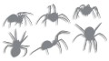 naklejka-pajak-pajaki-szara.jpg