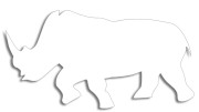 naklejka-nosorozec-biala.jpg