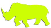 naklejka-nosorozec-zolta-neon.jpg