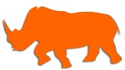 naklejka-nosorozec-pomaranczowa-neon.jpg