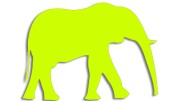 naklejka-slon-zolta-neon.jpg