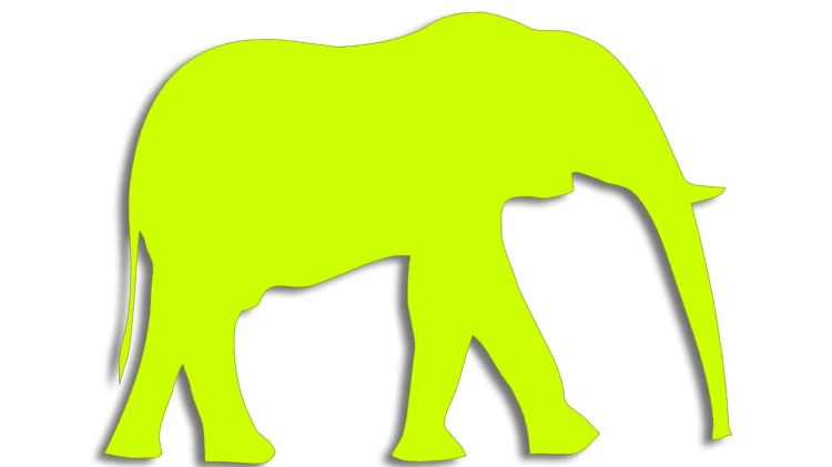 naklejka-slon-zolta-neon.jpg