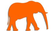 naklejka-slon-pomaranczowa-neon.jpg