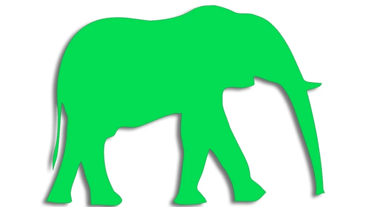 naklejka-slon-zielona-neon.jpg