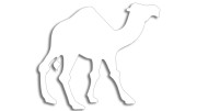 naklejka-wielblad-biala.jpg