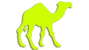 naklejka-wielblad-zolta-neon.jpg