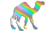 naklejka-wielblad-holograficzna.jpg
