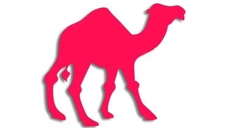 naklejka-wielblad-rozowa-neon.jpg
