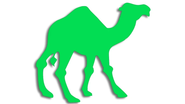 naklejka-wielblad-zielona-neon.jpg