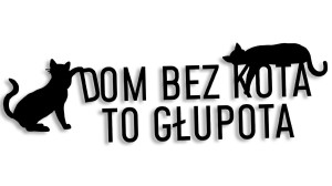 DOM BEZ KOTA TO GŁUPOTA (kot, kotek)