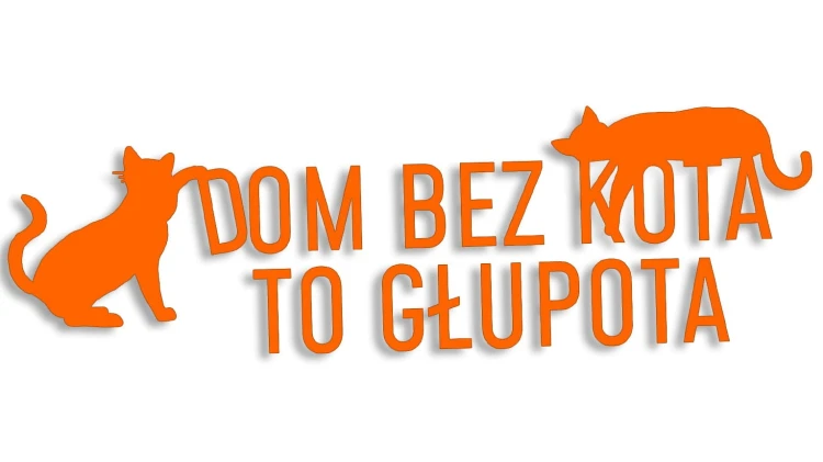 naklejka-dom-bez-kota-to-glupota-pomaranczowa-neon.jpg
