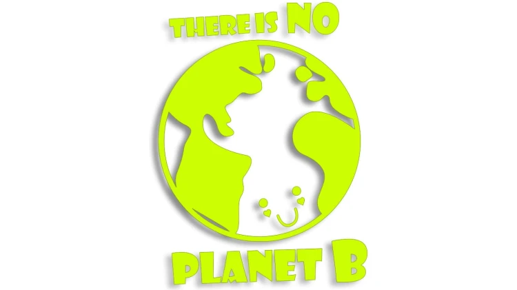 naklejka-there-is-no-planet-b-zolta-neon.jpg