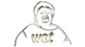 naklejka-mem-wat-chrom.jpg