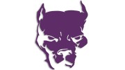 naklejka-pitbull-2-fioletowa.jpg