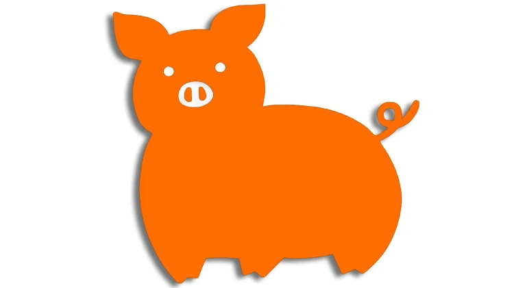 naklejka-prosiak-pomaranczowa.jpg
