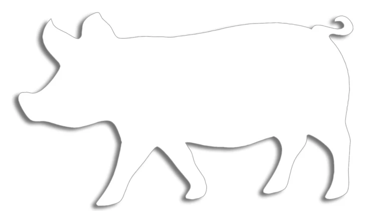 naklejka-swinia-biala.jpg