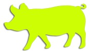 naklejka-swinia-zolta-neon.jpg