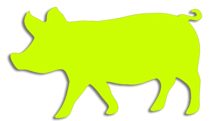 naklejka-swinia-zolta-neon.jpg
