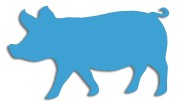 naklejka-swinia-blekitna.jpg