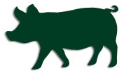 naklejka-swinia-ciemny-zielony.jpg