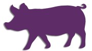 naklejka-swinia-fioletowa.jpg