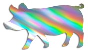 naklejka-swinia-holograficzna.jpg