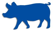 naklejka-swinia-niebieska.jpg
