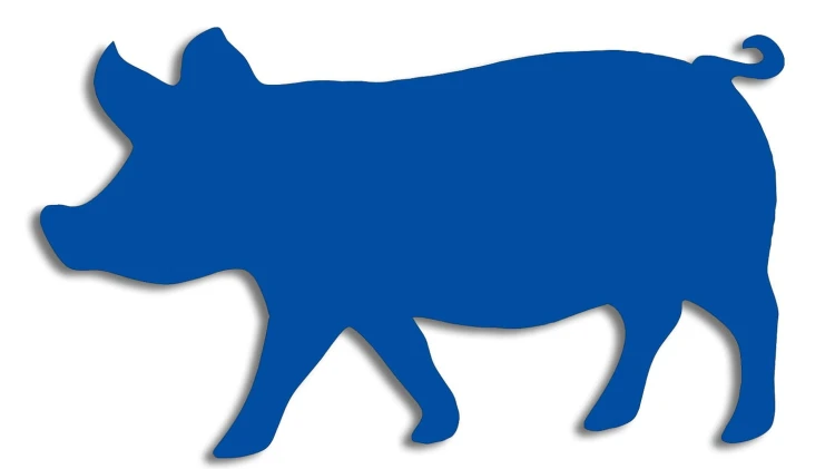 naklejka-swinia-niebieska.jpg