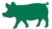 naklejka-swinia-zielona.jpg