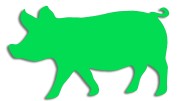 naklejka-swinia-zielona-neon.jpg