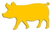 naklejka-swinia-zolta.jpg