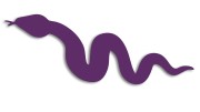 naklejka-waz-fioletowa.jpg
