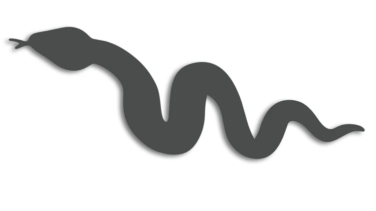naklejka-waz-grafitowa.jpg