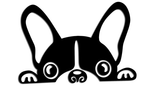 naklejka-buldog-francuski.jpg