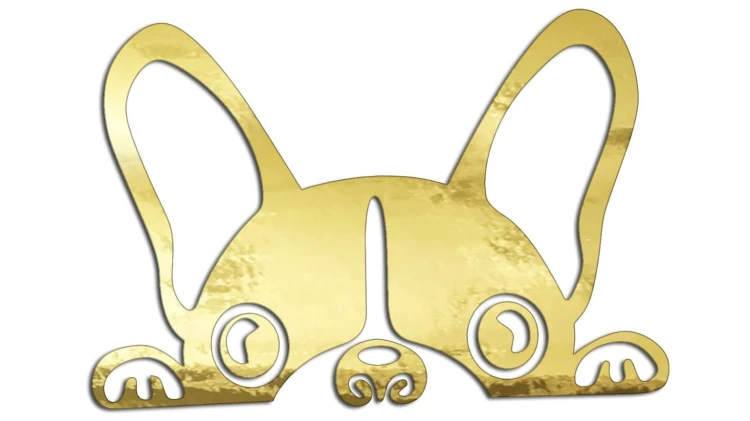 naklejka-buldog-francuski-zloty-chrom.jpg