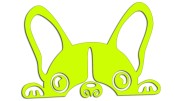 naklejka-buldog-francuski-zolta-neon.jpg