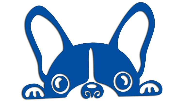 naklejka-buldog-francuski-niebieska.jpg