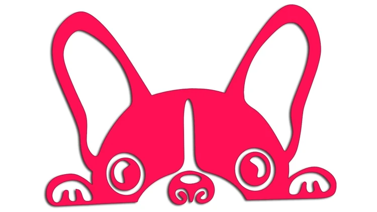 naklejka-buldog-francuski-rozowa-neon.jpg