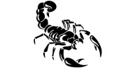 naklejka-skorpion.jpg