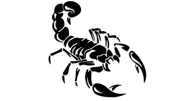 naklejka-skorpion.jpg