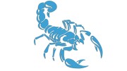 naklejka-skorpion-blekitna.jpg