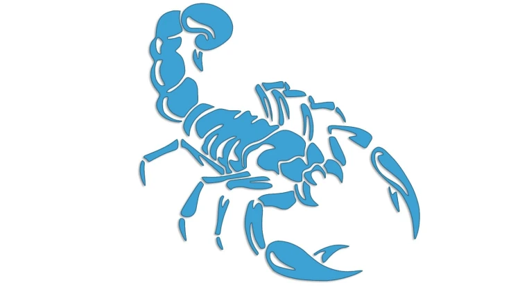 naklejka-skorpion-blekitna.jpg
